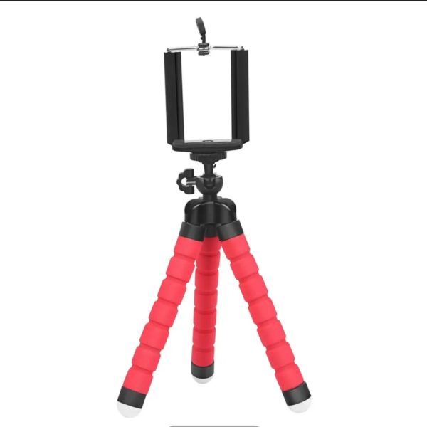 20241122_151507 Octopus Tripod